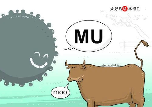 林绍胜漫画