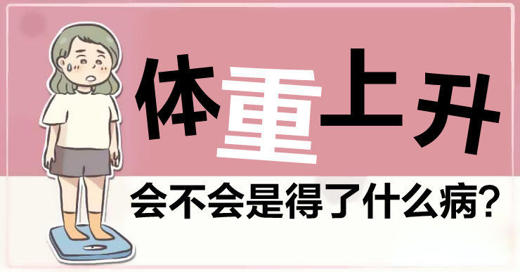 外科专科医生白映俞/体重上升,会不会是得了什么病?