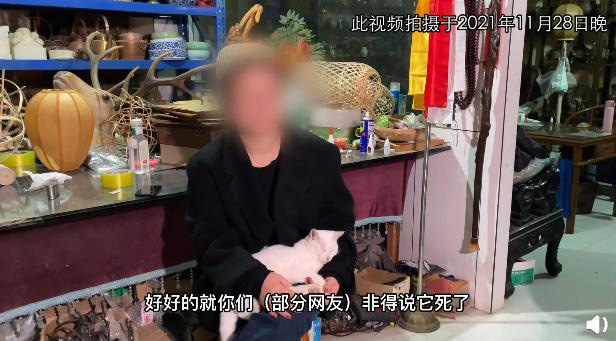 小猫被电死? 《当家主母》发视频报警证健在