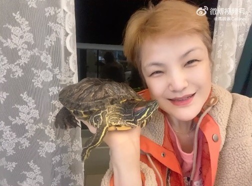 马蹄露亲吻宠物龟 网心惊:小心咬你