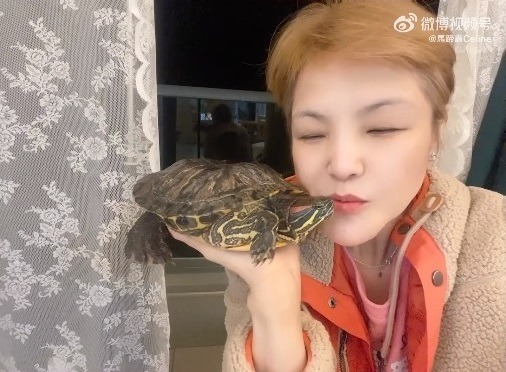 马蹄露亲吻宠物龟 网心惊:小心咬你