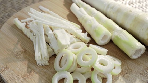 【砂拉越独门年味/01】用镜头窥探砂拉越多元年味