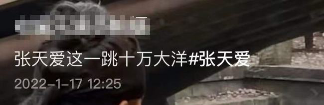 张天爱跳次河6万? 天价片酬引热议