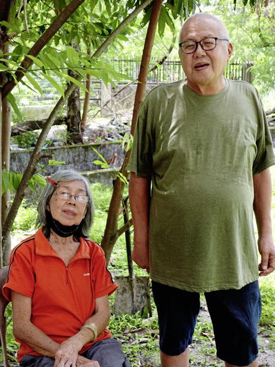我们不在了,谁来照顾它们?
