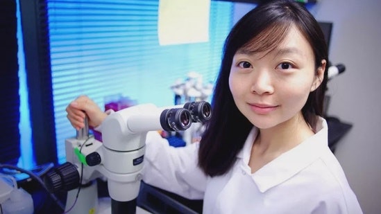 拚图)美诞医学史上首例猪心移植人体 80后川女、哈佛学霸成背后功臣