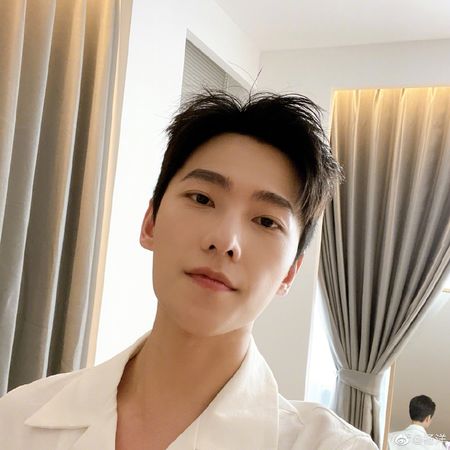 杨洋突注销名下公司 粉丝惊: 要出事了吗?