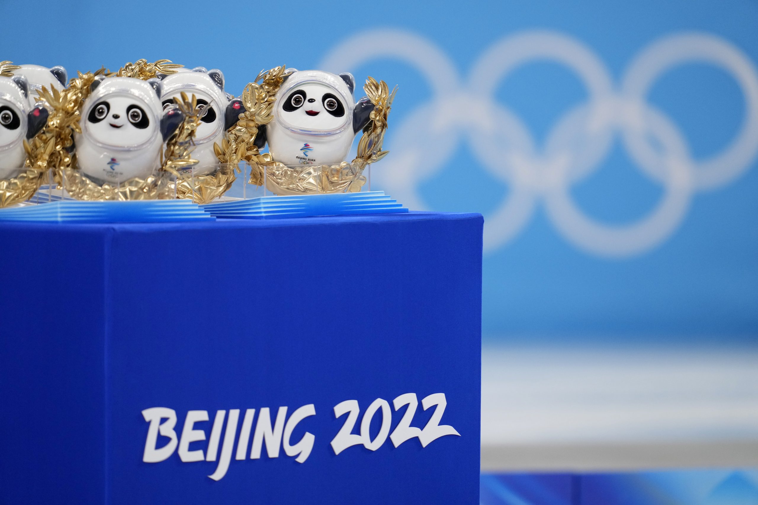 习近平:赠双胞胎孩子 摩亲王获一对冰墩墩