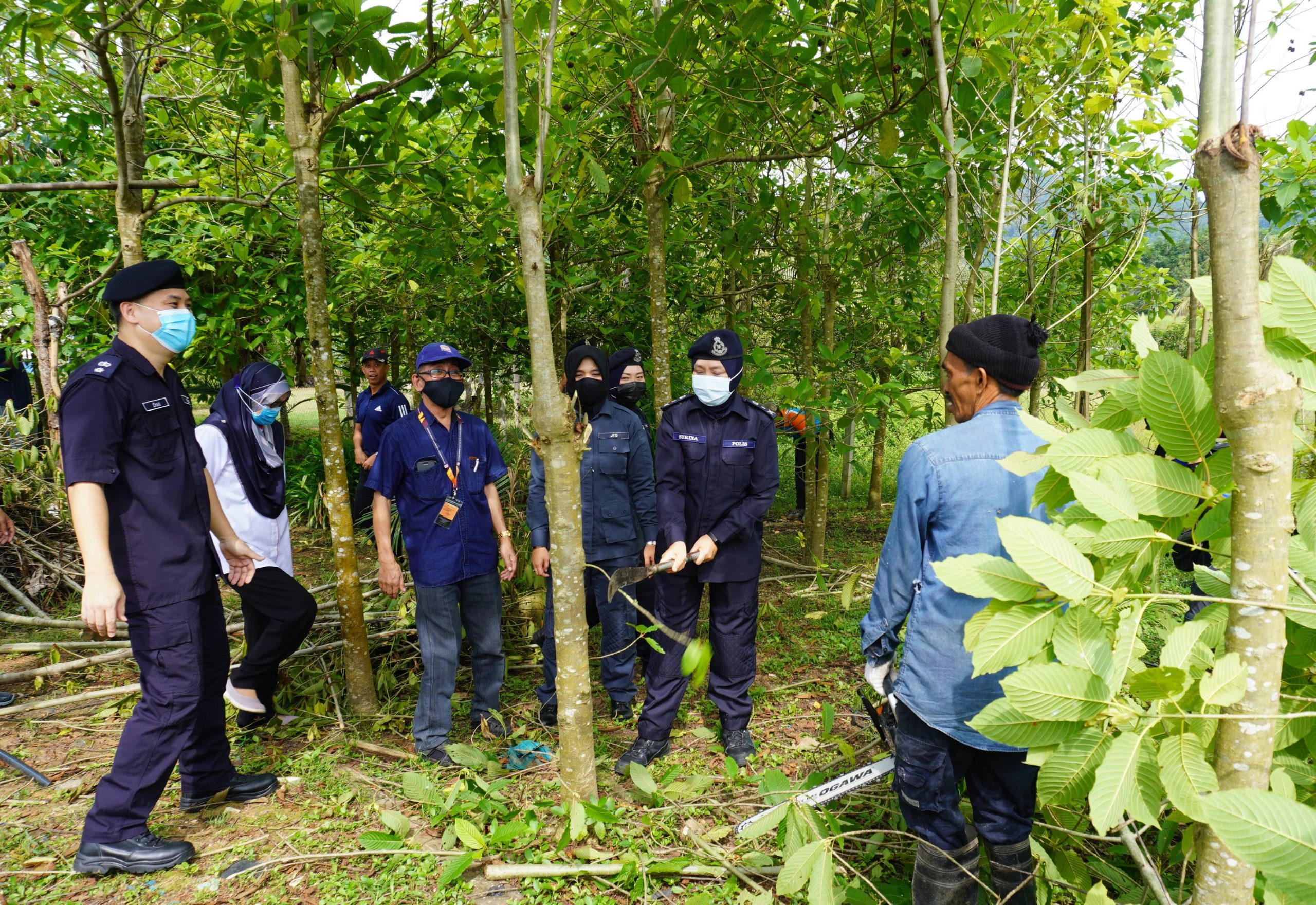 查希迪:卫生部现阶段拟种植管制措施,带入内阁探讨可行性