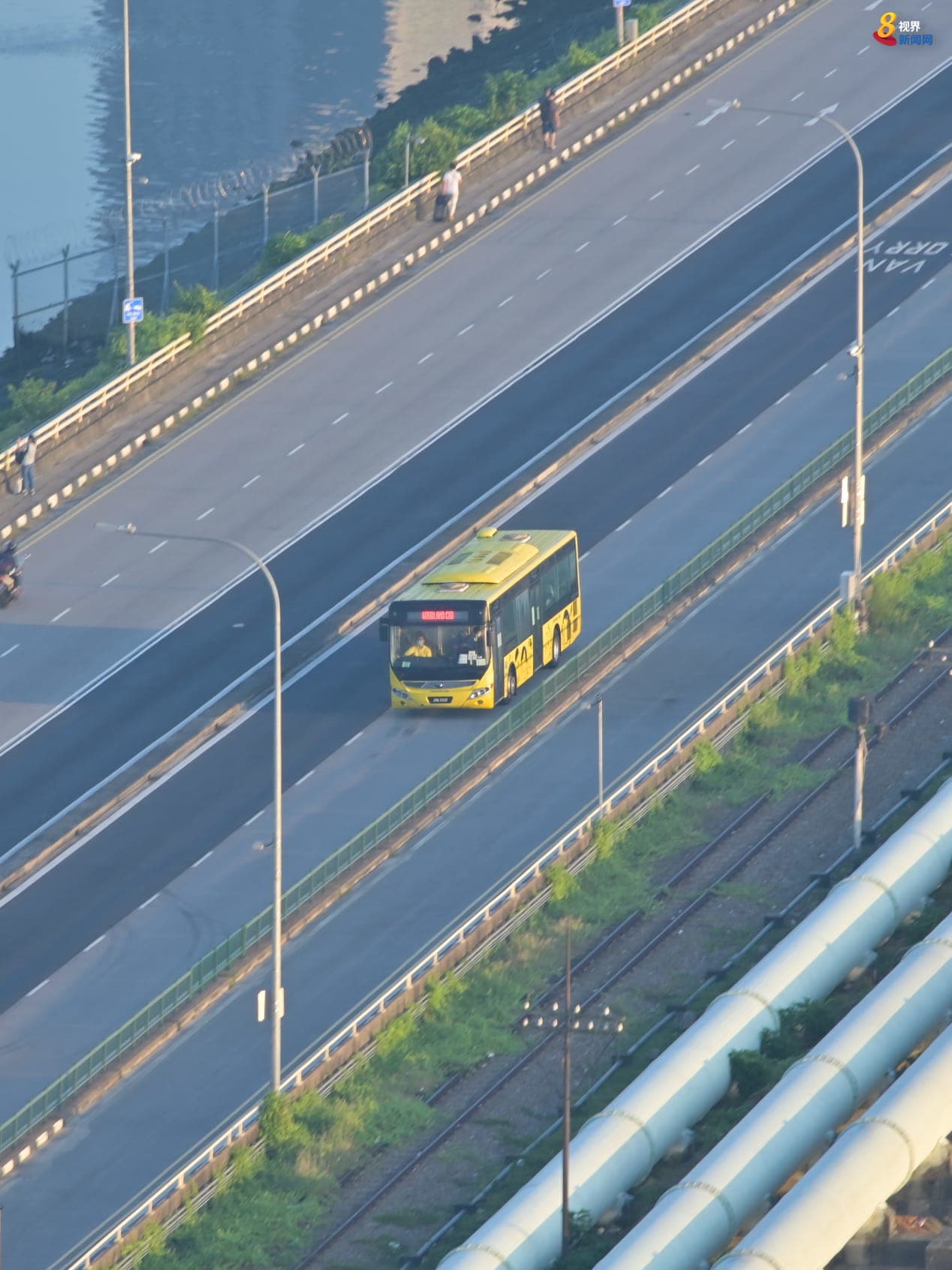 马新自由通关