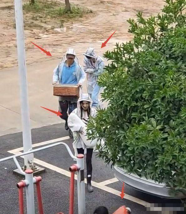 白天睡帐篷晚上住酒店? 《花少4》被曝全员作秀