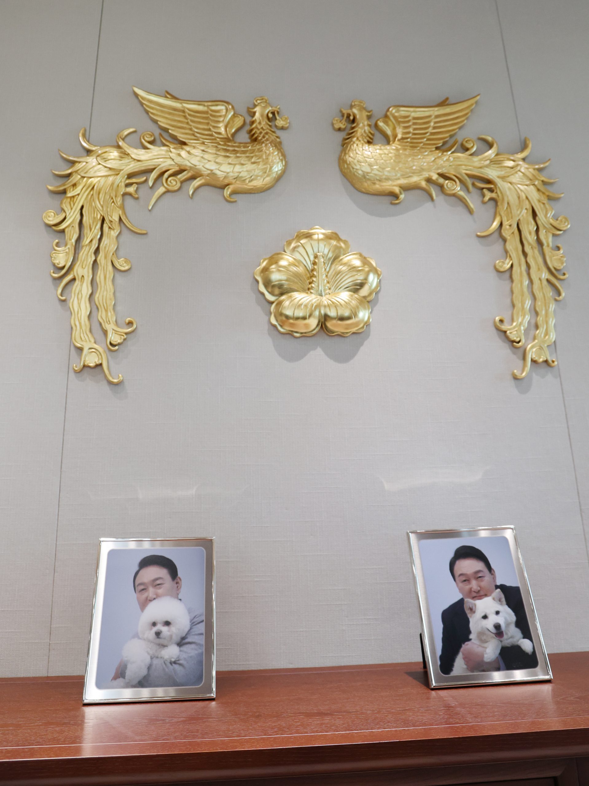 膝下无儿无女 韩新总统办公室桌上拍自己与爱犬合照