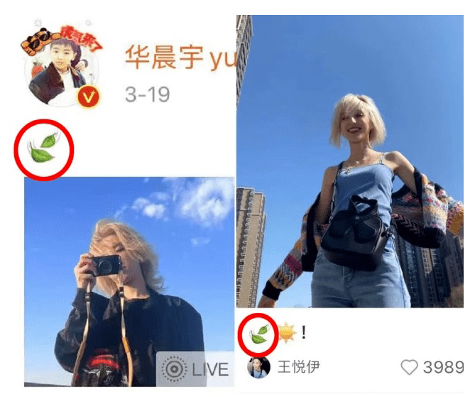 恋情坐实? 华晨宇带王悦伊与友人聚会 染同款发色暗秀恩爱
