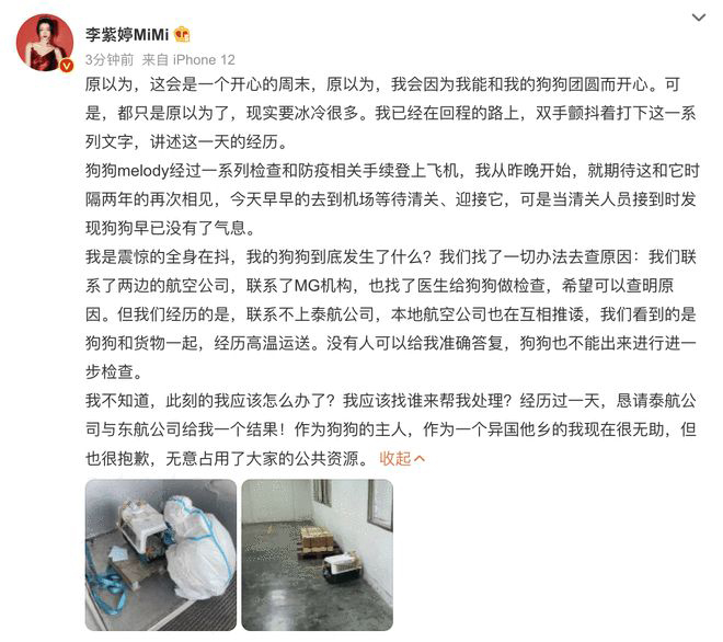 女星托运爱犬接机惊成尸体 心碎痛批航空公司互推诿