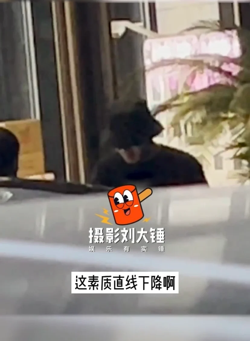 张彬彬被拍随手丢烟头 前公司遭质疑放黑料