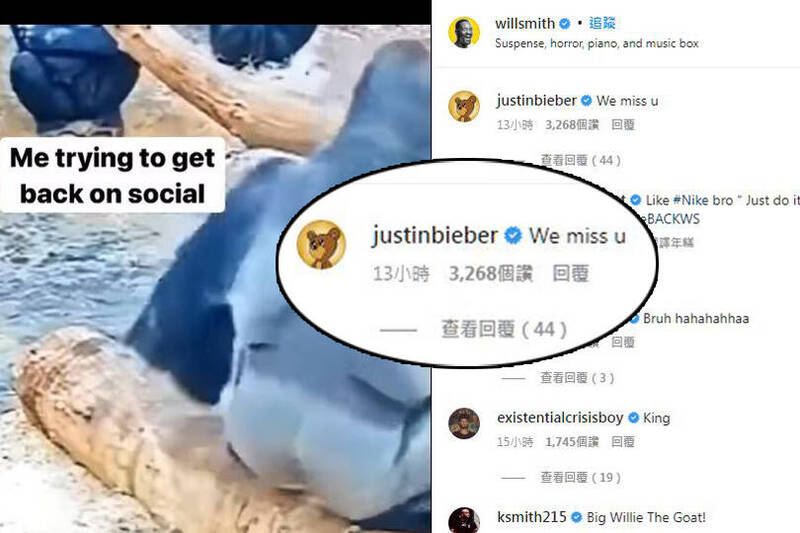 上载猩猩视频暗喻回归受阻 韦尔史密夫惹粉丝心疼