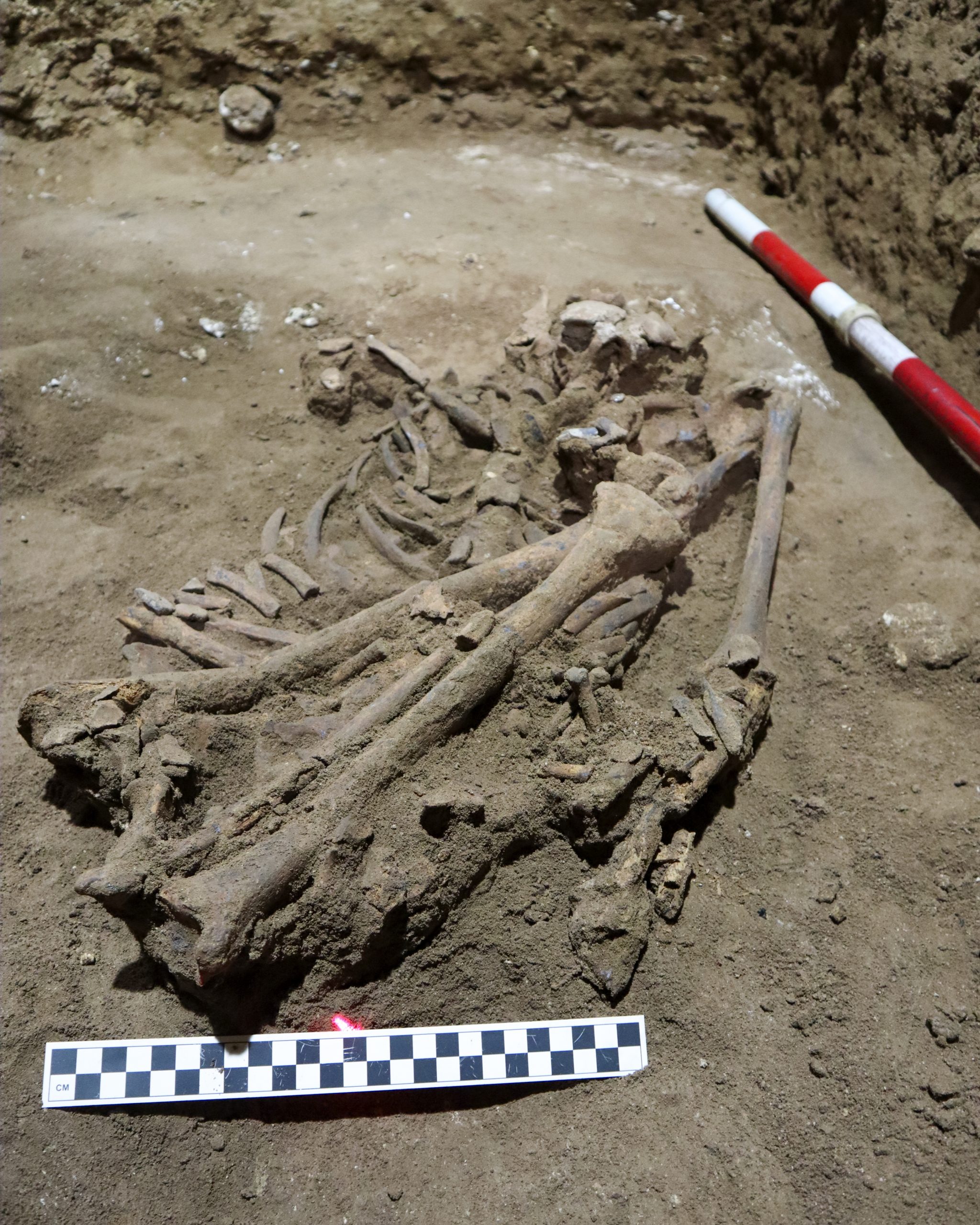 3万年前人骨神秘缺腿 研究曝惊人真相