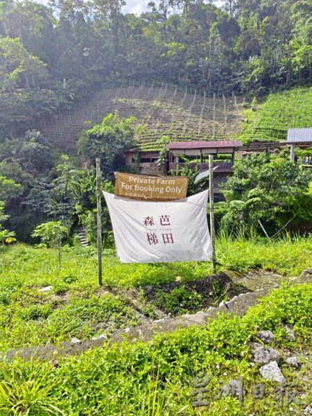 【马来西亚‧彭亨】到文冬,挖掘独特的人文瑰宝