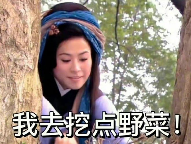 王宝钏挖野菜梗爆红 宣萱呼吁女孩子别迷失自我