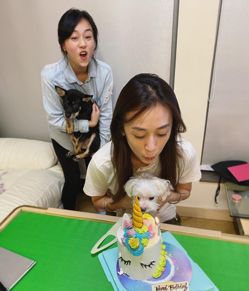 黄心美拒为妹妹黄心颖发言 祝福许志安尽快重回轨道