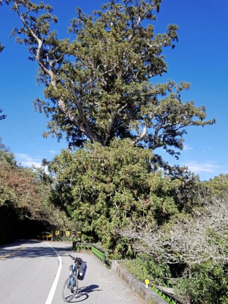 【台湾】重走太鲁阁,征服台湾公路最高点武岭