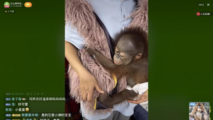 拚图)南京动物园疫下关闭缺钱 动物直播卖萌开放助养筹款救园