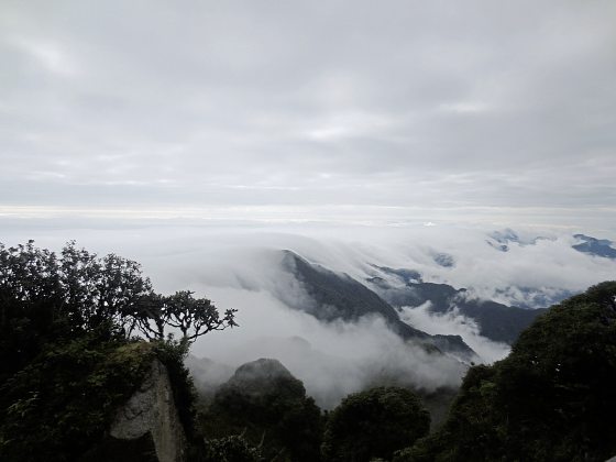【越南】梦幻越南行,遇见最美的云海
