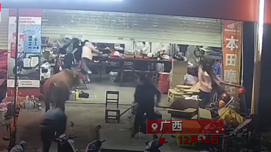 广西黄牛闯店乱撞 男子化身“斗牛勇士”制服