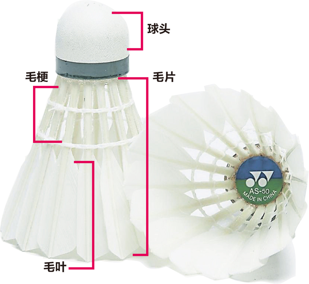 羽毛球鉴定报告