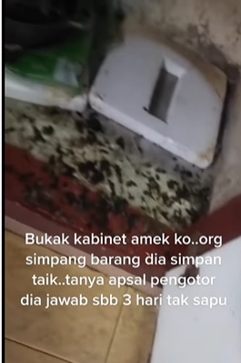 视频 | 好房东RM400租双层排屋·地狱租客留下动物粪便臭尿味