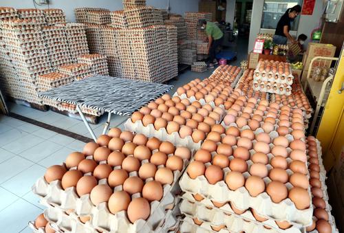 鸡蛋食用量月均逾9亿粒 末沙布:国外进口鸡蛋应付需求