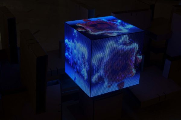 iNYALA沉浸式艺术展,赴一场光与音的艺术之约
