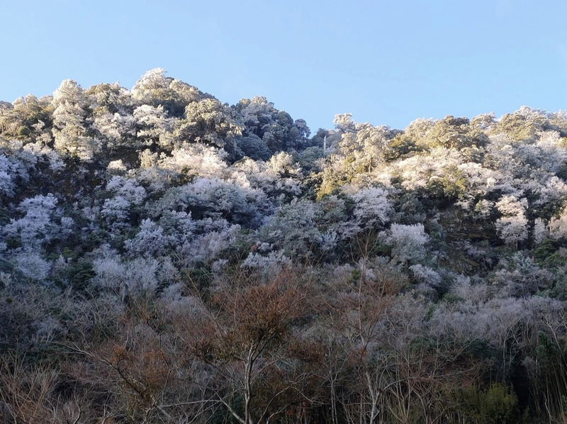 寒流发威 台湾多地飘雪 民众开直播 分享雪景