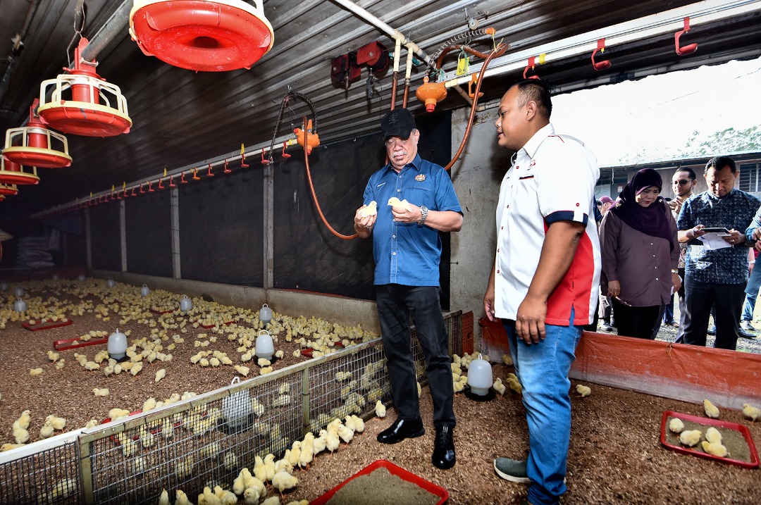 开斋节少不了仁当牛肉 末沙布:猪肉是新春必备食材