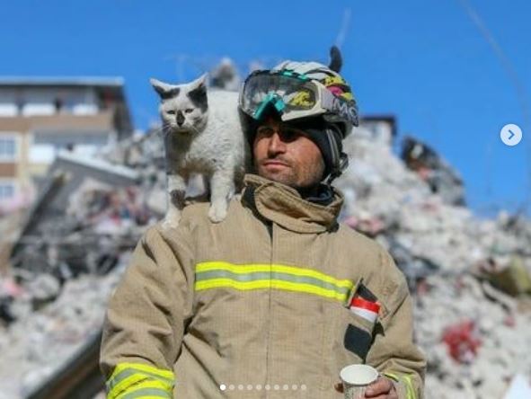 猫咪被困129小时获救 与救命恩人消防员形影不离