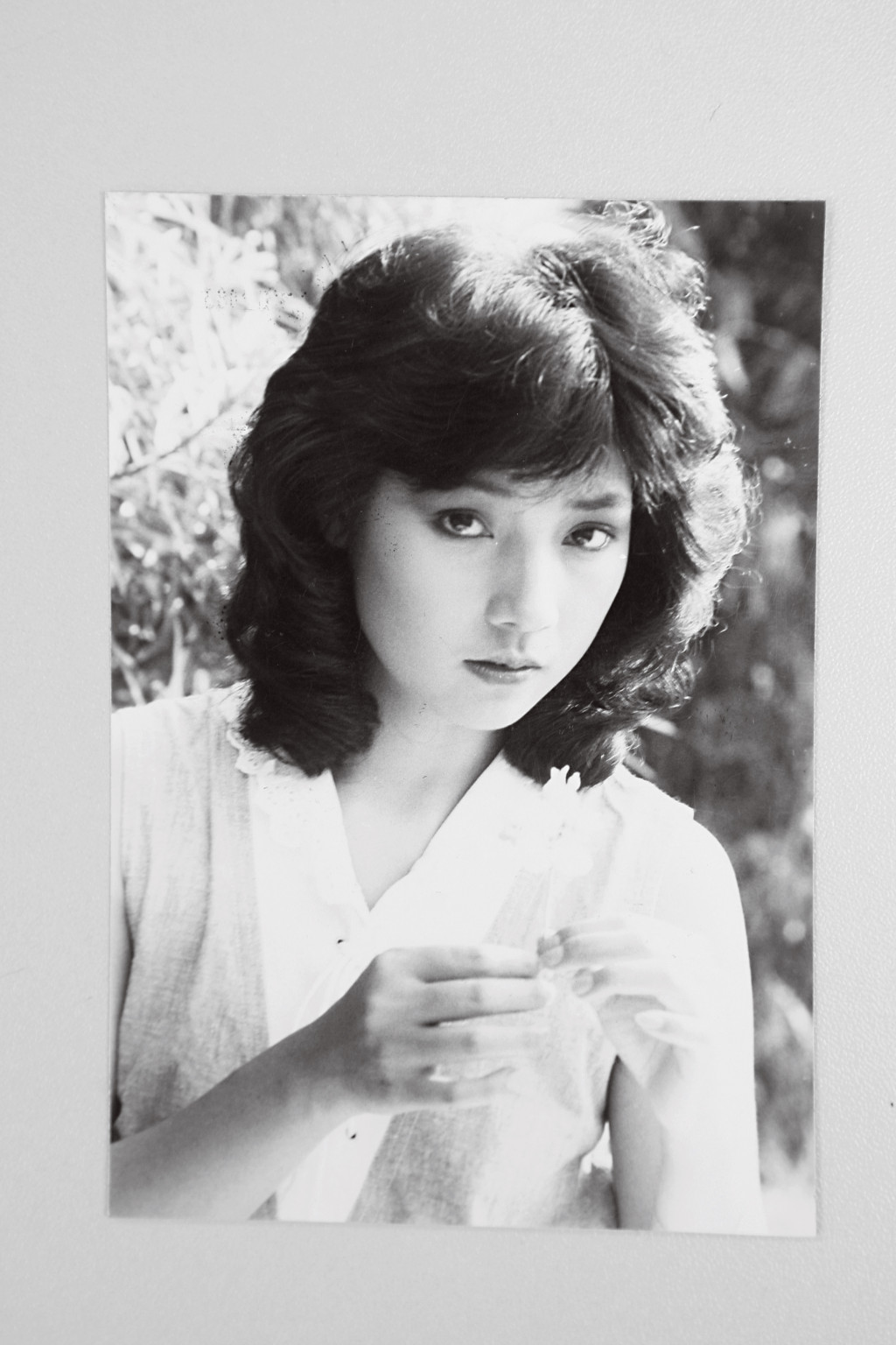 《欢乐今宵》昔日小花相聚 戚美珍变银发族优雅地老去