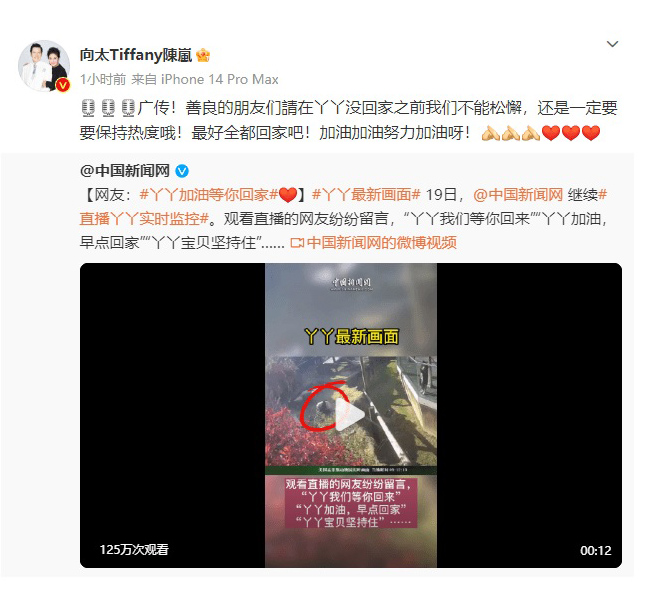 向太关注旅美大熊猫丫丫事件 表示愿意助养询问相关渠道