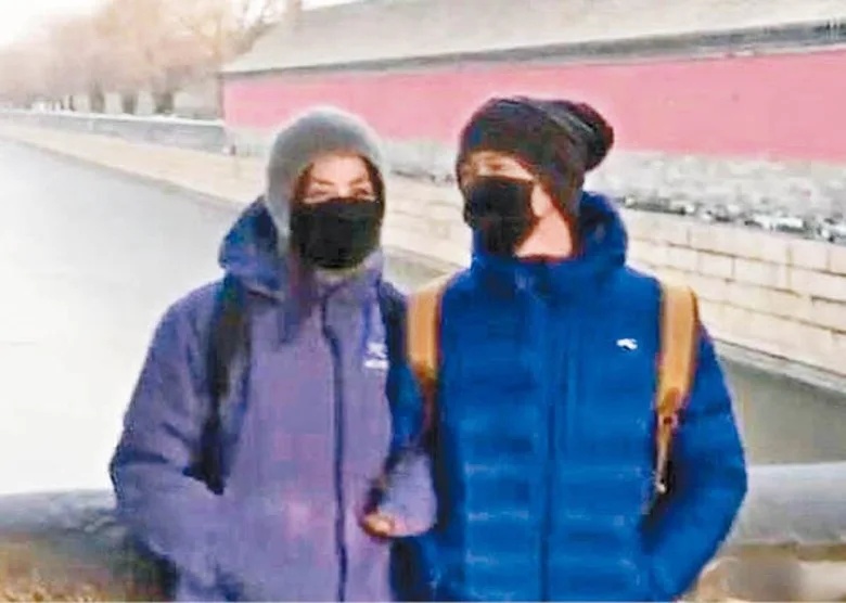 王菲纯粹陪谢霆锋回港 机舱内甜蜜互动