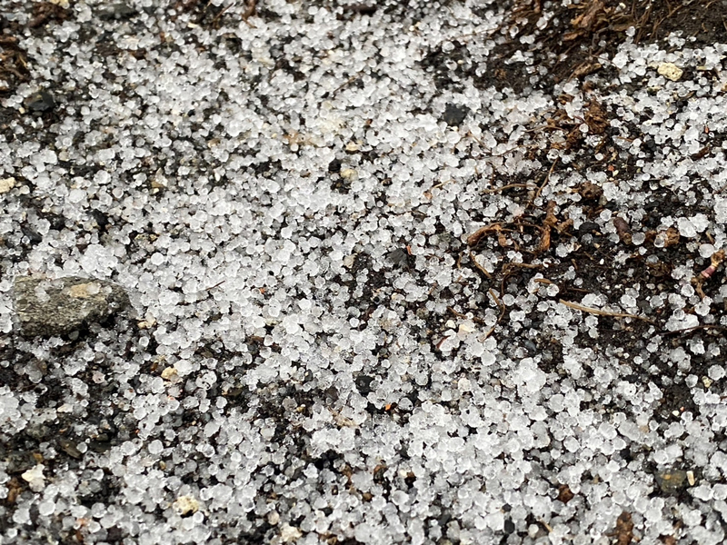 看世界/玉山3月飘雪 创设站80年来最迟降雪纪录