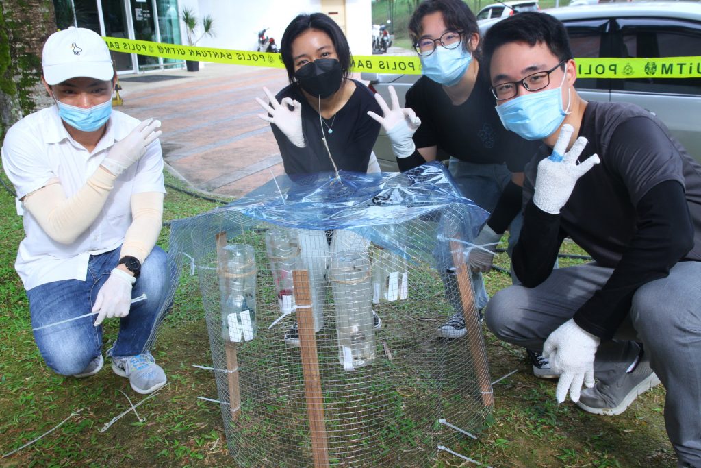 跟著苍蝇去破案 上一堂法医昆虫学实践课