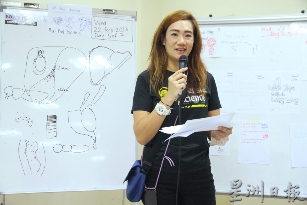 跟著苍蝇去破案 上一堂法医昆虫学实践课