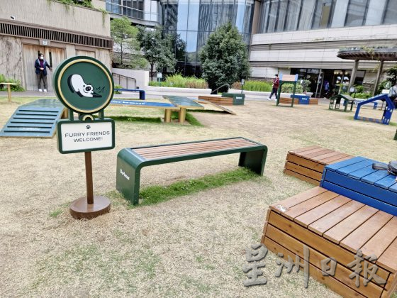 香港宠物友善空间,带著毛孩出门玩乐