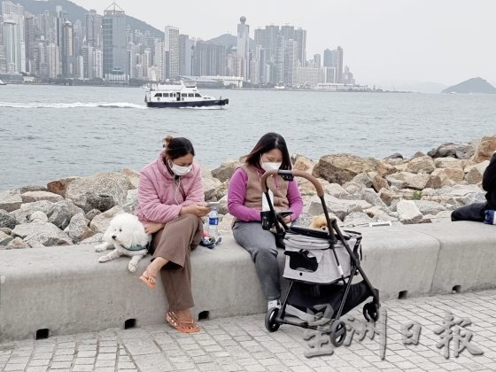 香港宠物友善空间,带著毛孩出门玩乐