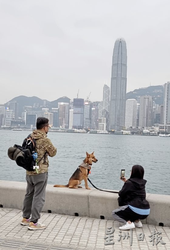 香港宠物友善空间,带著毛孩出门玩乐