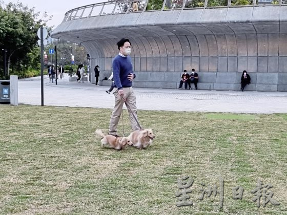 香港宠物友善空间,带著毛孩出门玩乐