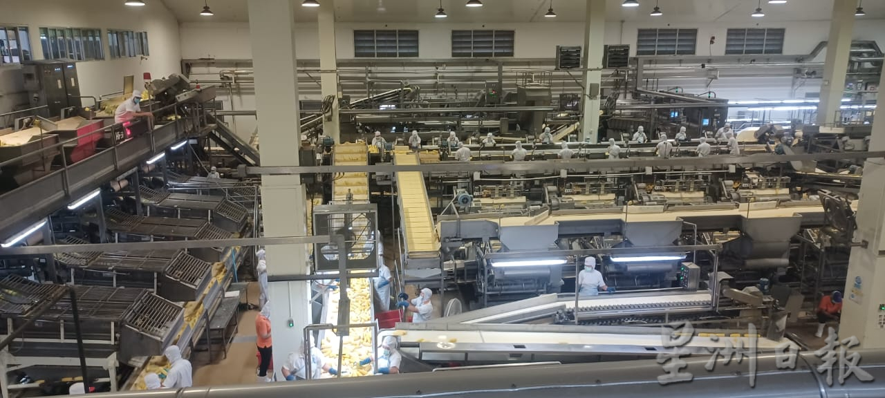 本报特派 清迈食品科技媒体之行(文1/3)