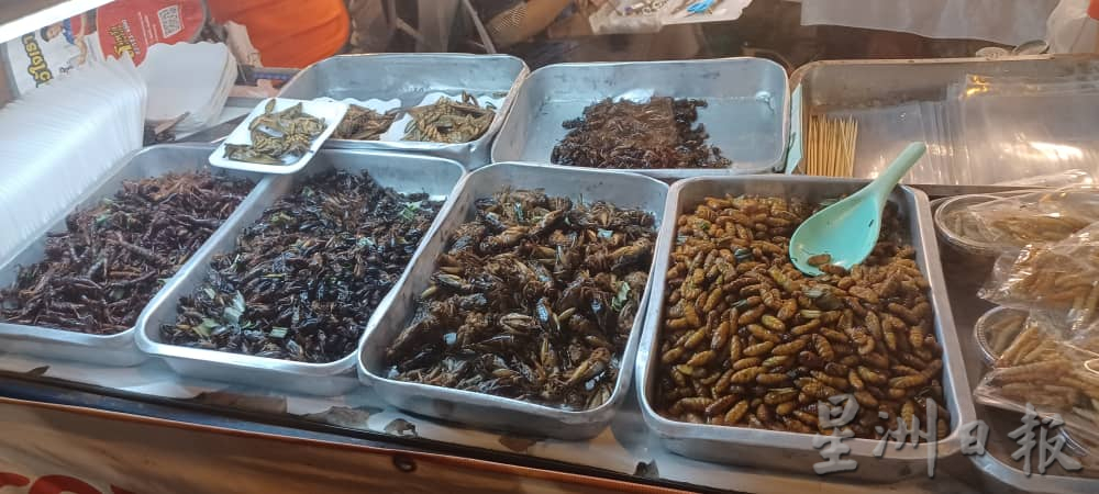 本报特派 清迈食品科技媒体之行(文1/3)