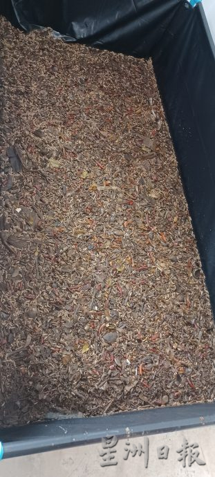 本报特派 清迈食品科技媒体之行(文1/3)