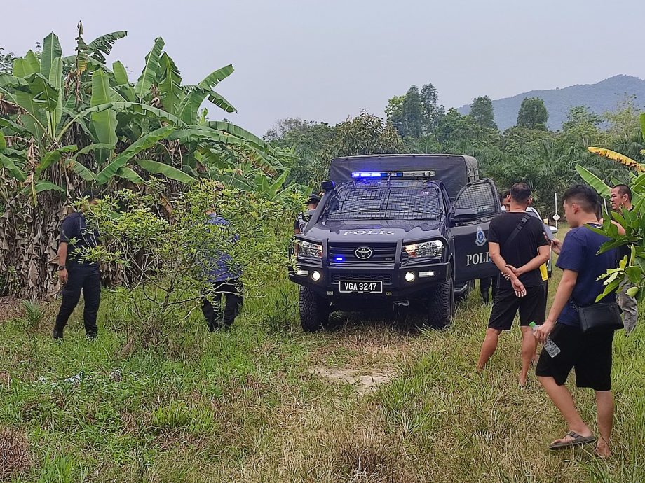 老夫妇出门后未返家,隔天被发现倒毙芭场