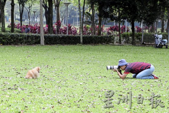 为老宠物义拍全家福,留下珍贵的回忆
