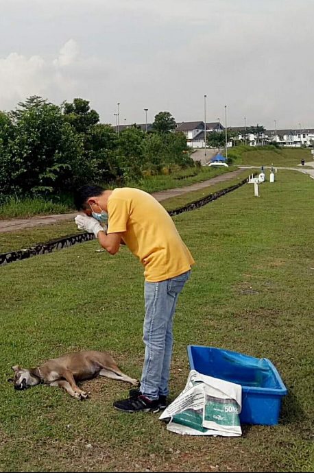 装修商发心处理路边动物尸:“希望大家开车慢一点”